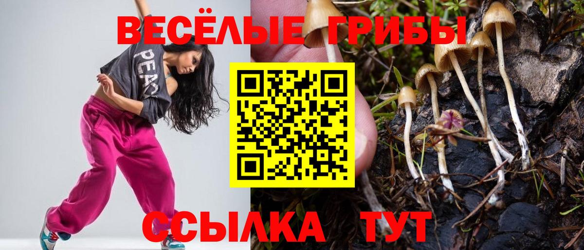 Псилоцибиновые грибы Cubensis Каменск-Уральский